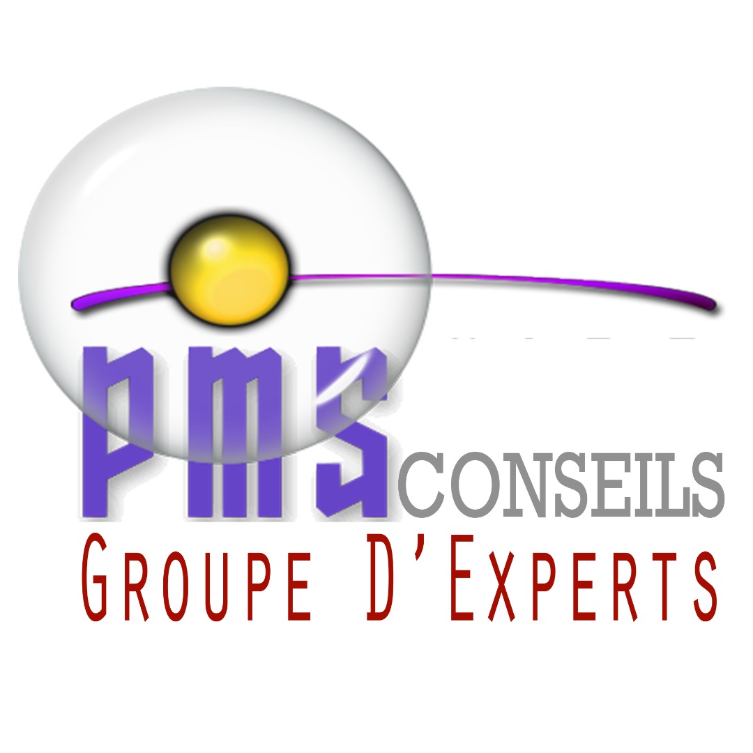 PMSconseil
